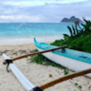 Meet your Posher, Cynthia